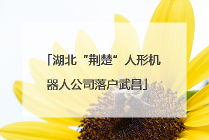 湖北“荆楚”人形机器人公司落户武昌