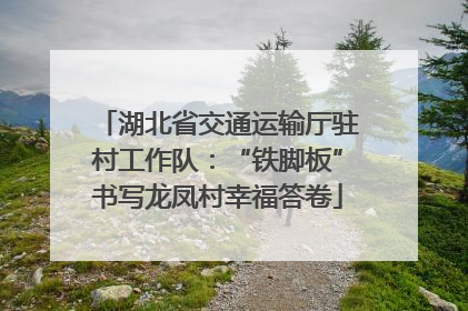 湖北省交通运输厅驻村工作队：“铁脚板”书写龙凤村幸福答卷