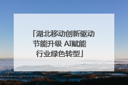 湖北移动创新驱动节能升级 AI赋能行业绿色转型