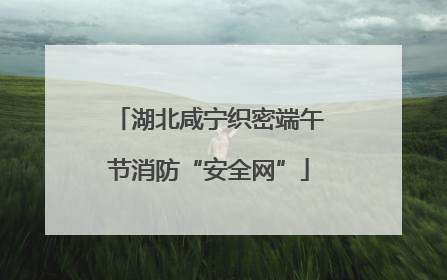 湖北咸宁织密端午节消防“安全网”