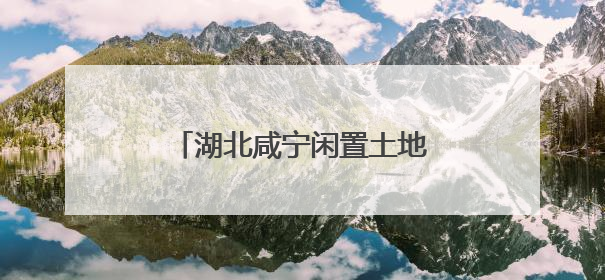 湖北咸宁闲置土地激活产业新动能