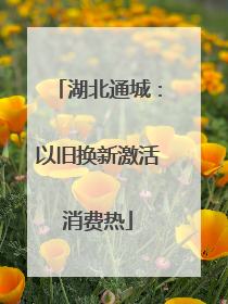 湖北通城：以旧换新激活消费热