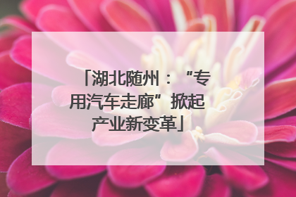 湖北随州：“专用汽车走廊”掀起产业新变革