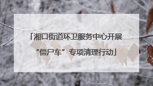 湘口街道环卫服务中心开展“僵尸车”专项清理行动