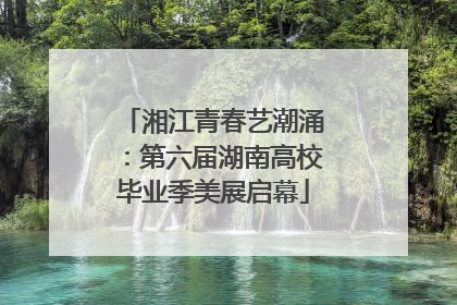 湘江青春艺潮涌：第六届湖南高校毕业季美展启幕