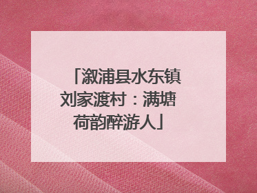 溆浦县水东镇刘家渡村：满塘荷韵醉游人