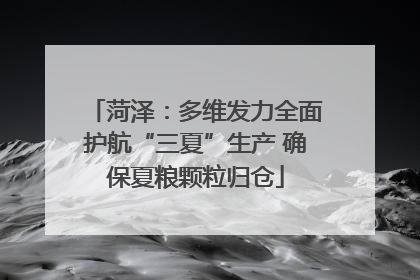 菏泽：多维发力全面护航“三夏”生产 确保夏粮颗粒归仓