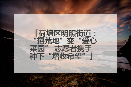 荷塘区明照街道：“撂荒地”变“爱心菜园” 志愿者携手种下“增收希望”