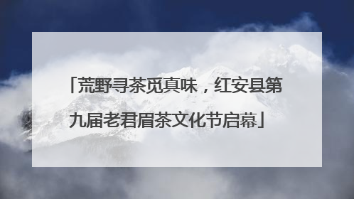 荒野寻茶觅真味，红安县第九届老君眉茶文化节启幕