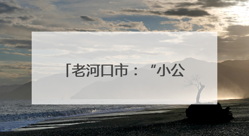 老河口市：“小公厕” 撬动 “大民生” 打造有温度的城市文明窗口