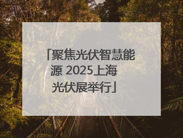 聚焦光伏智慧能源 2025上海光伏展举行