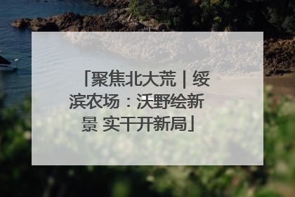 聚焦北大荒｜绥滨农场：沃野绘新景 实干开新局