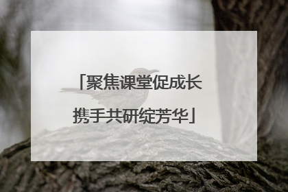 聚焦课堂促成长 携手共研绽芳华