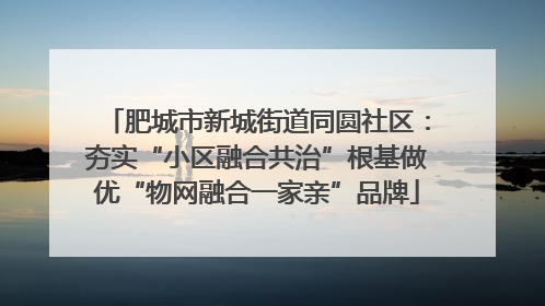 肥城市新城街道同圆社区：夯实“小区融合共治”根基做优“物网融合一家亲”品牌