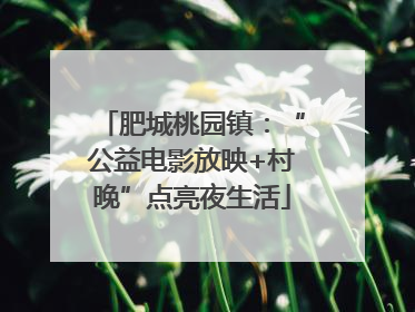 肥城桃园镇：“公益电影放映+村晚”点亮夜生活