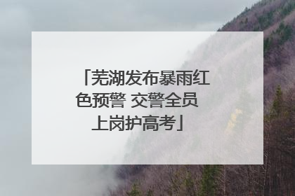 芜湖发布暴雨红色预警 交警全员上岗护高考