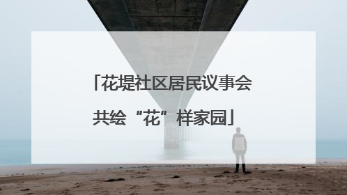 花堤社区居民议事会共绘“花”样家园