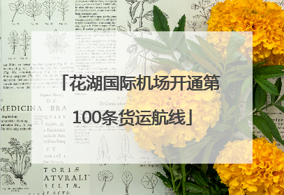 花湖国际机场开通第100条货运航线