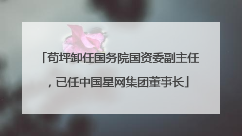 苟坪卸任国务院国资委副主任，已任中国星网集团董事长