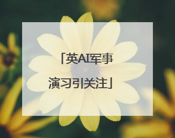 英AI军事演习引关注