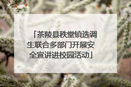 茶陵县秩堂镇选调生联合多部门开展安全宣讲进校园活动
