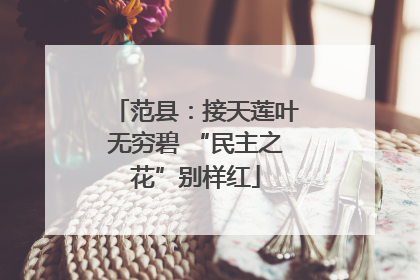 范县：接天莲叶无穷碧 “民主之花”别样红