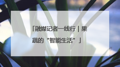 融媒记者一线行｜果蔬的“智能生活”