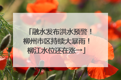 融水发布洪水预警！柳州市区持续大暴雨！柳江水位还在涨→