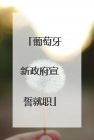 葡萄牙新政府宣誓就职