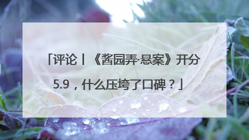 评论丨《酱园弄·悬案》开分5.9，什么压垮了口碑？