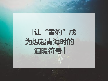 让“雪豹”成为想起青海时的温暖符号