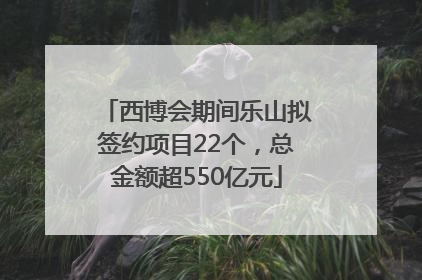 西博会期间乐山拟签约项目22个，总金额超550亿元