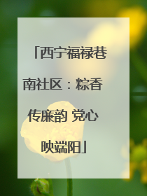 西宁福禄巷南社区：粽香传廉韵 党心映端阳