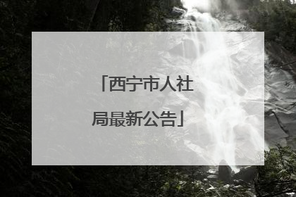 西宁市人社局最新公告