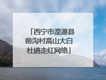 西宁市湟源县前沟村高山大白杜鹃走红网络