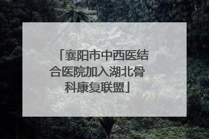 襄阳市中西医结合医院加入湖北骨科康复联盟