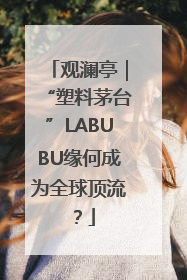 观澜亭｜“塑料茅台”LABUBU缘何成为全球顶流？