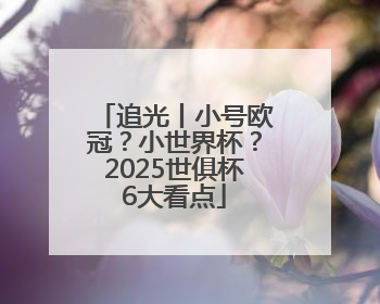 追光丨小号欧冠？小世界杯？2025世俱杯6大看点