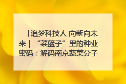 追梦科技人 向新向未来｜“菜篮子”里的种业密码：解码南京蔬菜分子育种的创新之路