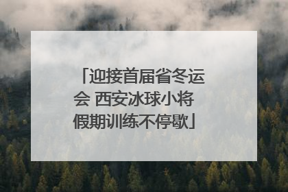 迎接首届省冬运会 西安冰球小将假期训练不停歇