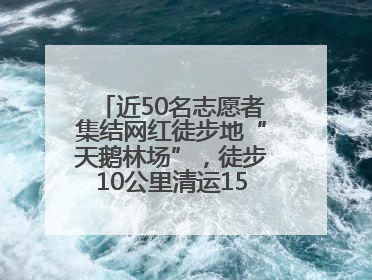 近50名志愿者集结网红徒步地“天鹅林场”，徒步10公里清运150余斤山野垃圾