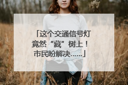 这个交通信号灯竟然“藏”树上！市民盼解决……