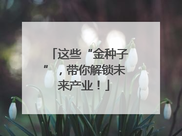 这些“金种子”，带你解锁未来产业！