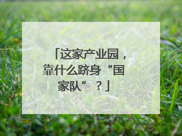 这家产业园，靠什么跻身“国家队”？