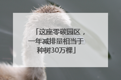 这座零碳园区，一年减排量相当于种树30万棵