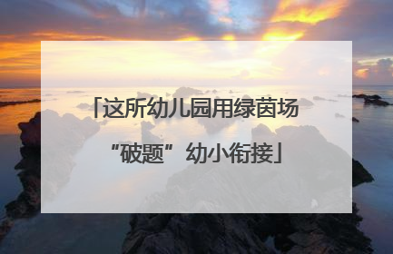 这所幼儿园用绿茵场“破题”幼小衔接