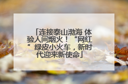 连接泰山渤海 体验人间烟火！“网红”绿皮小火车，新时代迎来新使命