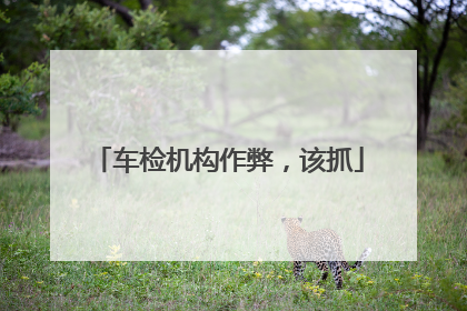 车检机构作弊，该抓