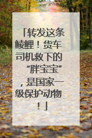 转发这条鲮鲤！货车司机救下的“胖宝宝”，是国家一级保护动物！