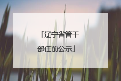辽宁省管干部任前公示